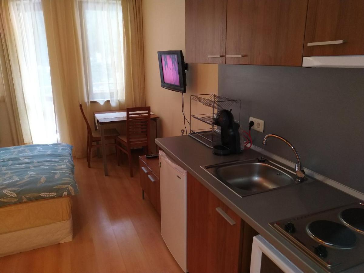 Studio Villa Park 207 Borovets Eksteriør billede